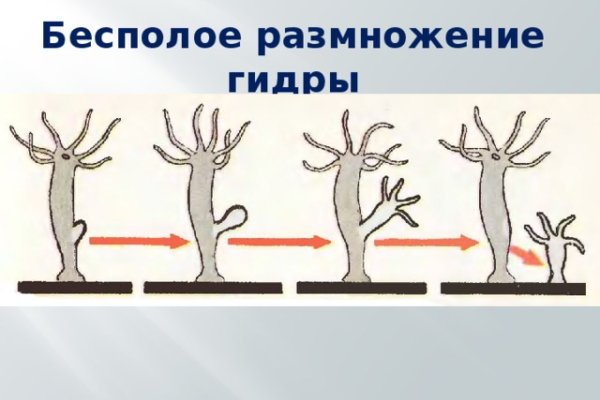 Площадки в даркнете
