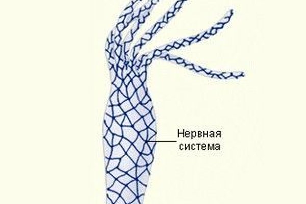 Kraken официальный сайт ссылка krk store com