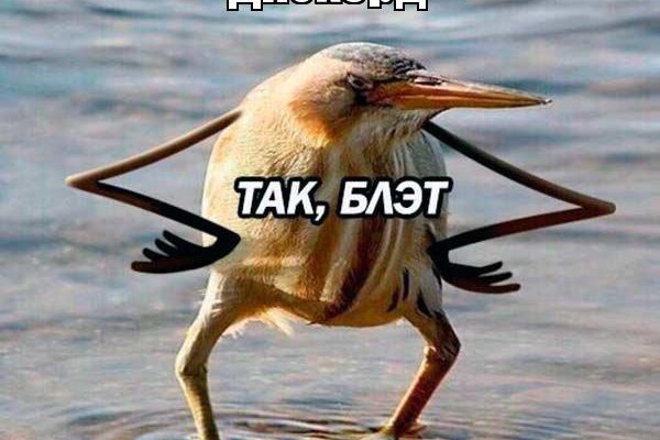 Кракен тор ссылка магазин