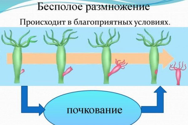 Кракен зеркало прокатис