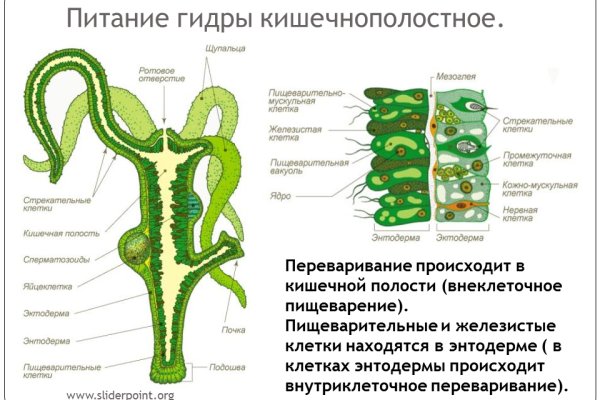 Kraken зеркало стор